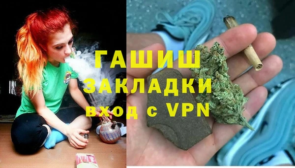 ПСИЛОЦИБИНОВЫЕ ГРИБЫ Михайлов