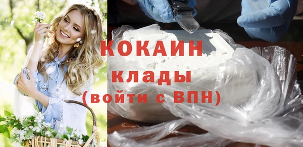 ПСИЛОЦИБИНОВЫЕ ГРИБЫ Михайлов