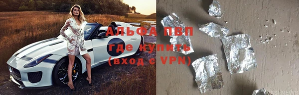 ПСИЛОЦИБИНОВЫЕ ГРИБЫ Михайлов