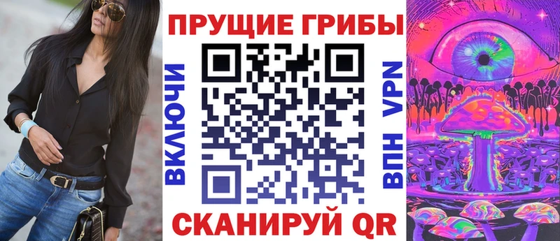 Псилоцибиновые грибы Psilocybe  Новоалександровск 